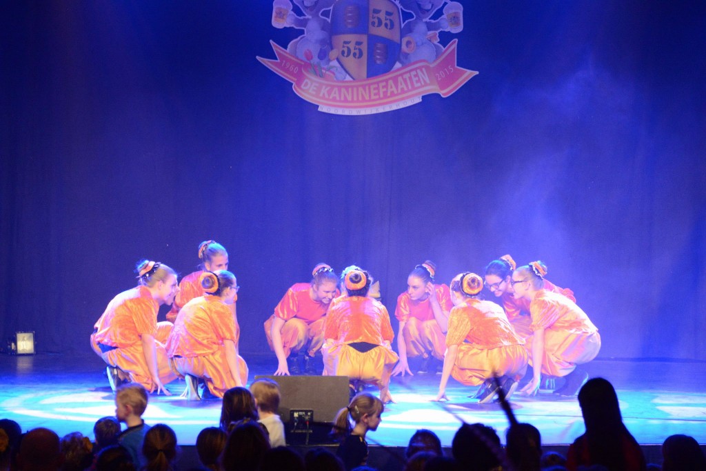 ../Images/Dansmarieke festival 2015 369.jpg